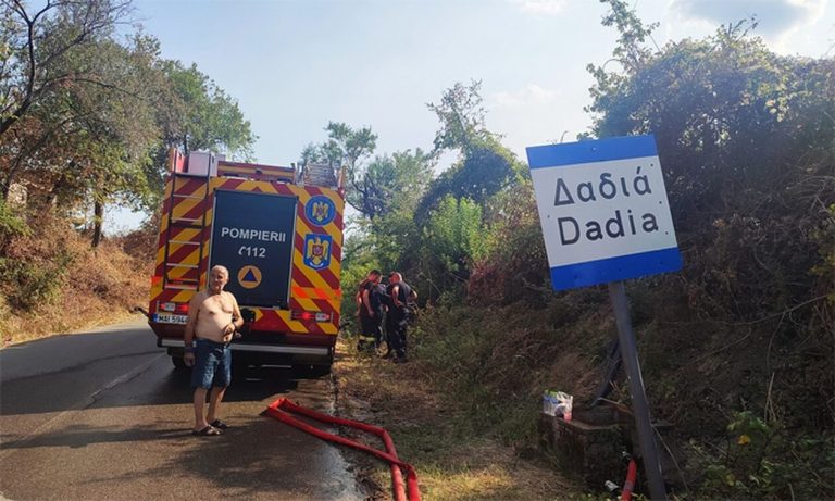 Φωτιές: Κάηκε το 58% του δάσους της Δαδιάς