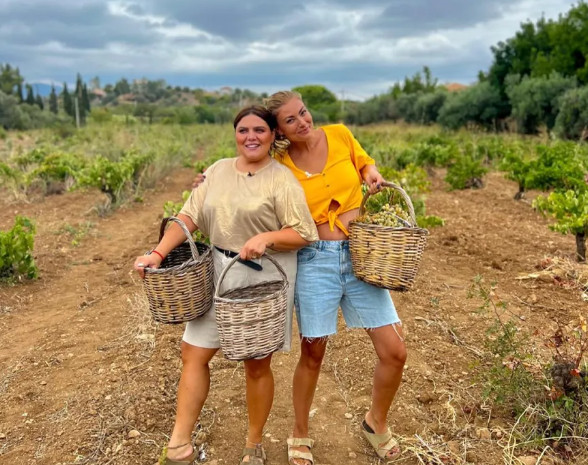 Δανάη Μπάρκα: Στον τρύγο με τους συνεργάτες της