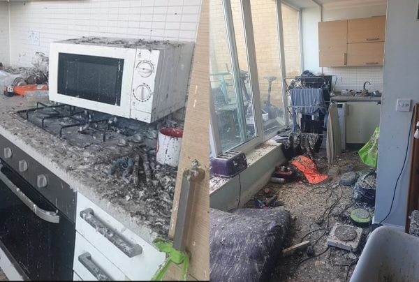 Λονδίνο: Το απόλυτο χάος σε διαμέρισμα – Περιστέρια προκάλεσαν ζημιά αξίας15.000 λιρών