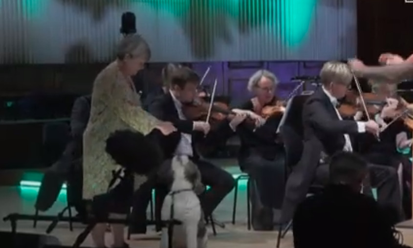 Μια διαφορετική συναυλία: Σκυλάκια «ερμηνεύουν» κλασική μουσική