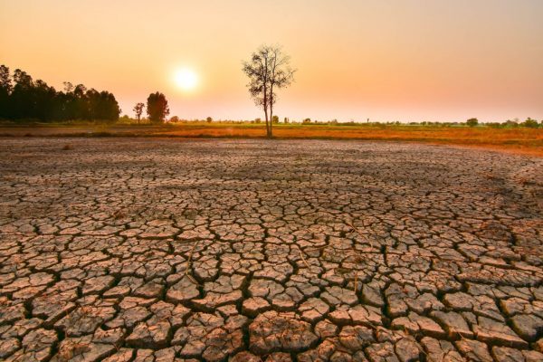 Κλιματική Αλλαγή: «Οι τρεις τελευταίοι μήνες οι θερμότεροι εδώ και 120.000 χρόνια»