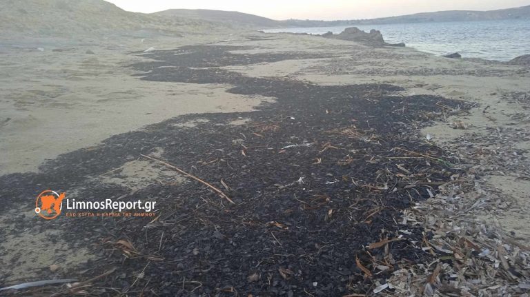 Αποκαΐδια από τη φωτιά στον Έβρο έφτασαν σε παραλία της Λήμνου