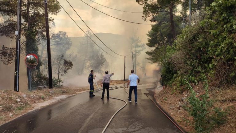 Σταμάτα: Μία σύλληψη για εμπρησμό από αμέλεια