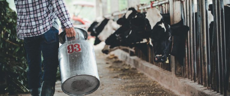 Γάλα: Ακριβότερα έως 128,6% το πληρώνουν οι Έλληνες – Το παράδοξο χωραφιού – ραφιού