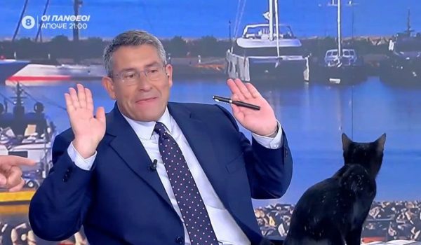 Μια μαύρη γάτα διέκοψε την ανάλυση Φίλη για τον ΣΥΡΙΖΑ