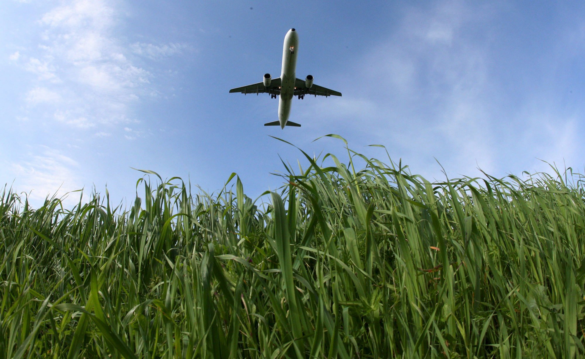Κλιματική αλλαγή: Οι αεροπορικές εταιρείες κατηγορούμενες για greenwashing