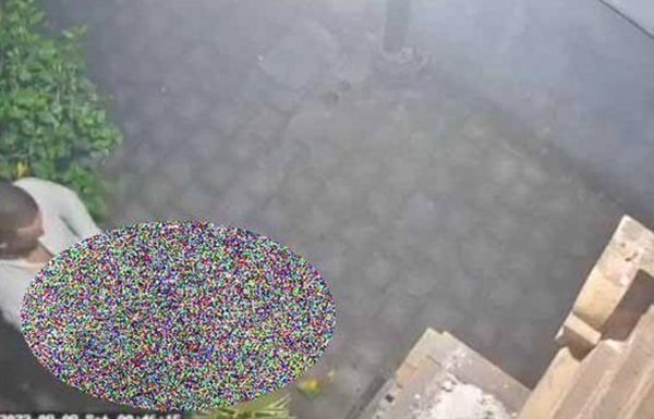 Ινδονησία: Απελάθηκε Ιταλός τουρίστας γιατί έκανε σεξ δημόσια