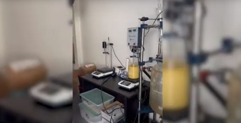 Θεσσαλονίκη: Παρασκεύαζαν συνθετική κάνναβη και πωλούσαν σε Ευρώπη και Αμερική με κρυπτονομίσματα