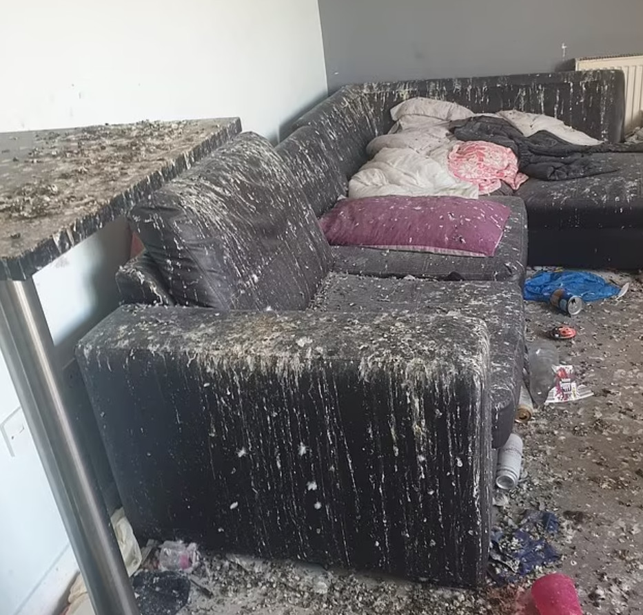 Λονδίνο: Το απόλυτο χάος σε διαμέρισμα – Περιστέρια προκάλεσαν ζημιά αξίας 15.000 λιρών