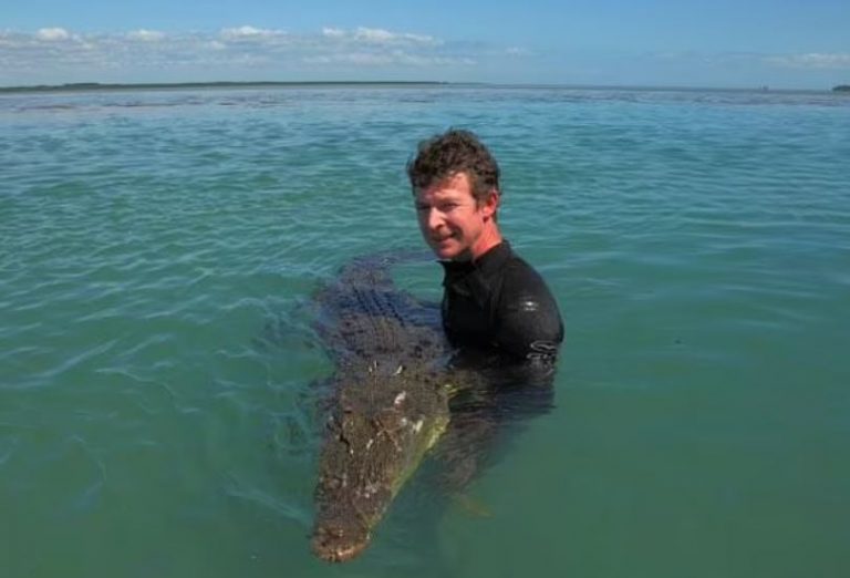 Φρίκη στην Αυστραλία: Ειδικός στους κροκόδειλους βίασε και βασάνισε δεκάδες κουτάβια μέχρι θανάτου