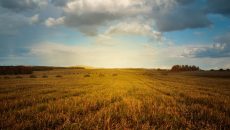 Κλιματική αλλαγή: Μπορούν οι αγρότες να σώσουν το κλίμα;