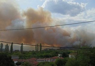 Έβρος: Φωτιά σε δασική έκταση στο Σουφλί
