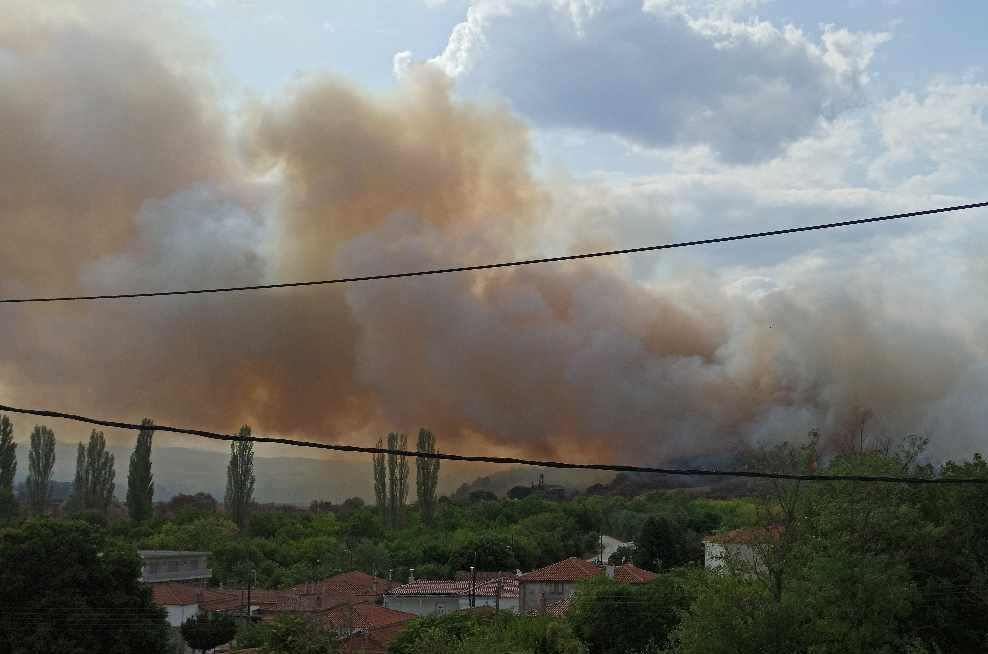 Έβρος: Φωτιά σε δασική έκταση στο Σουφλί