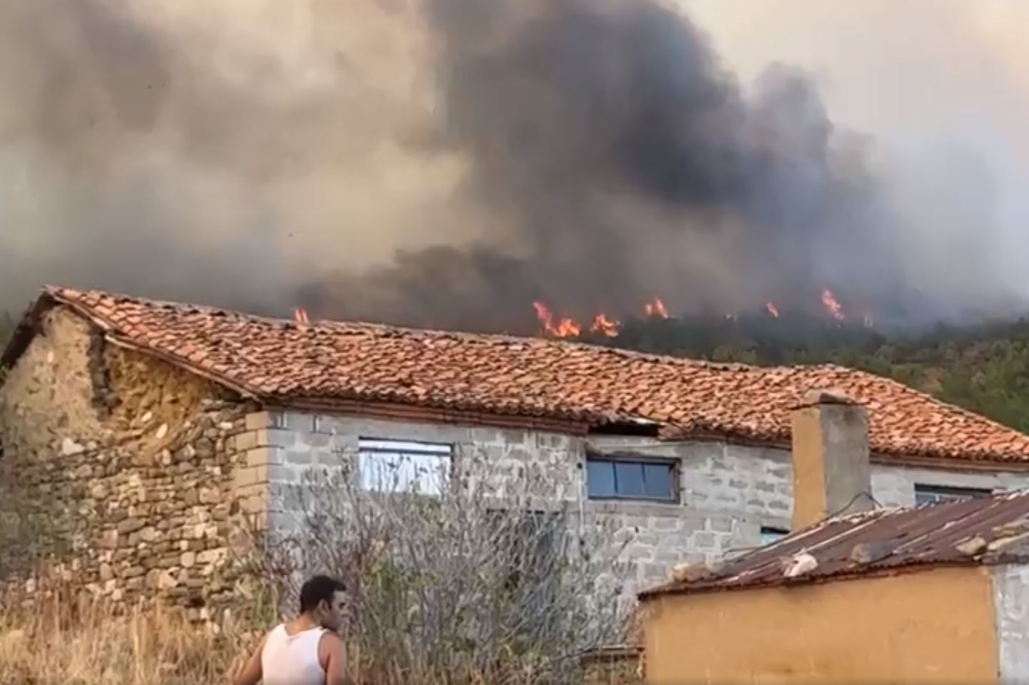 Φωτιά στον Έβρο: Εκκενώνεται η Λευκίμμη - Πλησιάζουν τα πρώτα σπίτια οι φλόγες