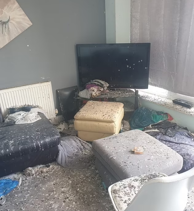 Λονδίνο: Το απόλυτο χάος σε διαμέρισμα - Περιστέρια προκάλεσαν ζημιά αξίας15.000 λιρών