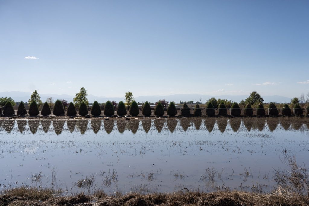 Αυγενάκης: Τις επόμενες μέρες ξεκινούν οι προκαταβολές αποζημιώσεων σε αγρότες και κτηνοτρόφους