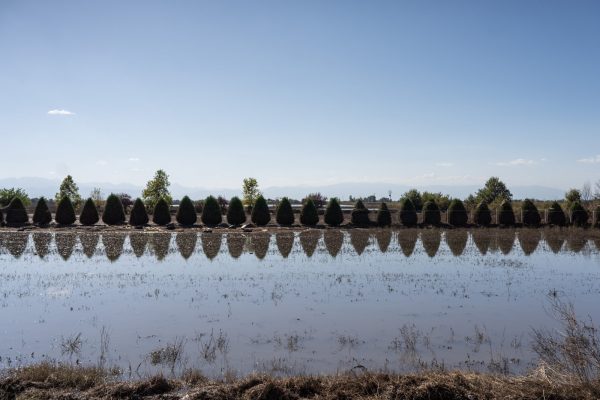 Αυγενάκης: Τις επόμενες μέρες ξεκινούν οι προκαταβολές αποζημιώσεων σε αγρότες και κτηνοτρόφους
