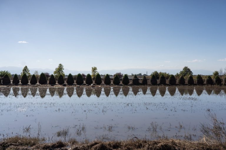 Αυγενάκης: Τις επόμενες μέρες ξεκινούν οι προκαταβολές αποζημιώσεων σε αγρότες και κτηνοτρόφους