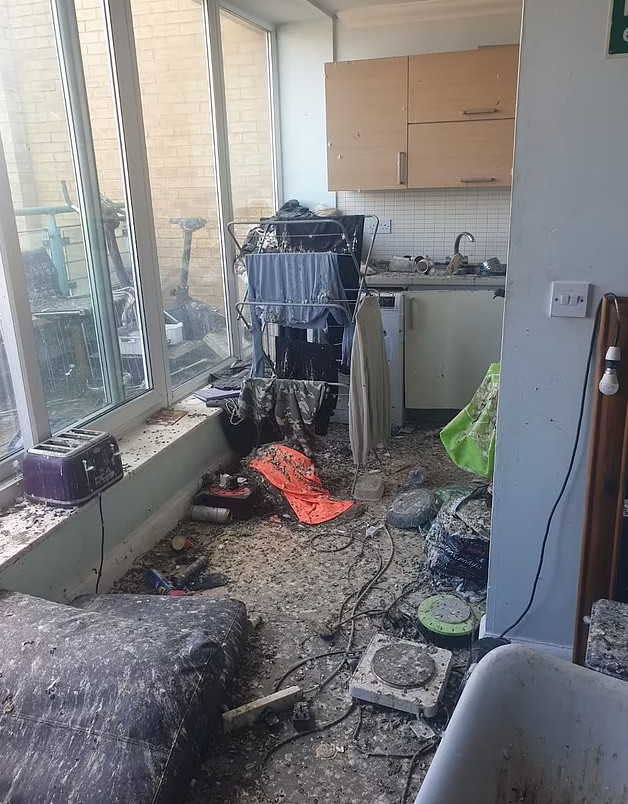 Λονδίνο: Το απόλυτο χάος σε διαμέρισμα – Περιστέρια προκάλεσαν ζημιά αξίας 15.000 λιρών