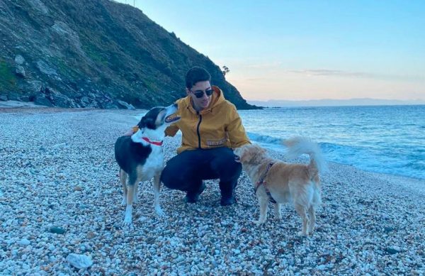 Πώς να γίνουν δύο σκύλοι φίλοι – Τα σωστά βήματα