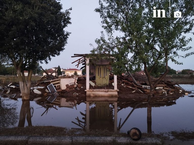 Κακοκαιρία Daniel: Ισχυρό πλήγμα για καλλιέργειες και κτηνοτροφία στη Θεσσαλία