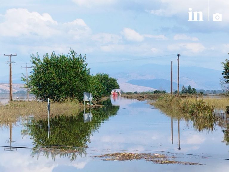Κακοκαιρία Daniel: Τα 8 δισ. του θεσσαλικού κάμπου «χάθηκαν» στις λάσπες