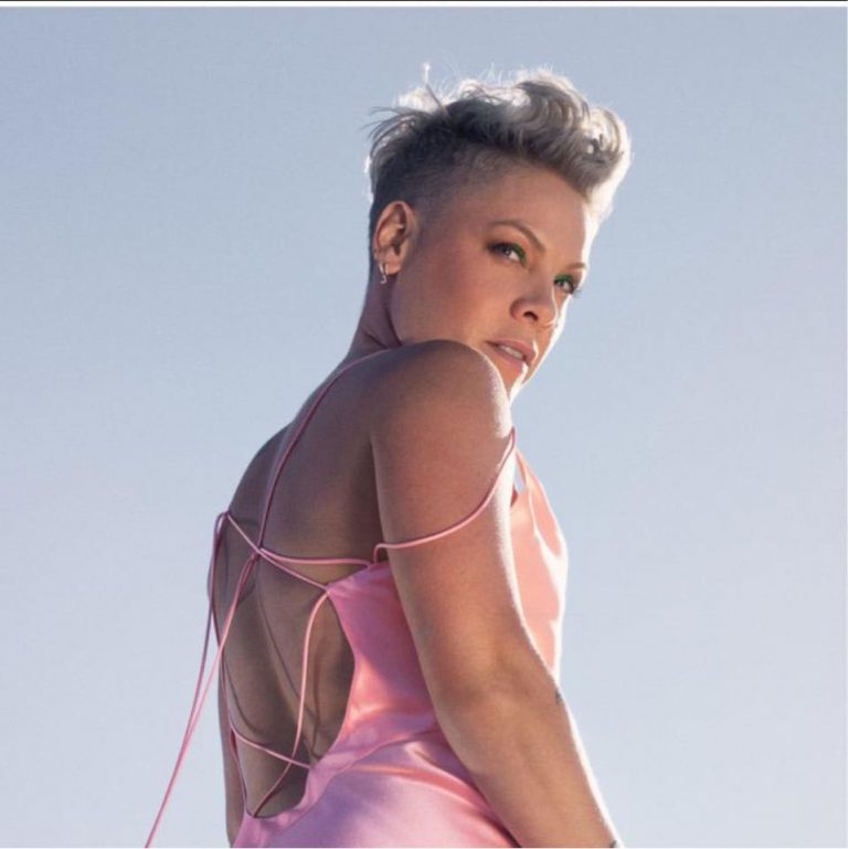 Pink: «Μάθημα» για τα παιδιά της η επίθεση από διαδικτυακό τρολ