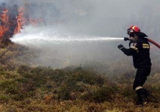 Πυρκαγιά σε αγροτική έκταση στη Ροδόπη