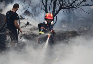 Στάχτη έγιναν 1,7 εκατ. στρέμματα σε 67 δασικές πυρκαγιές από την αρχή του έτους