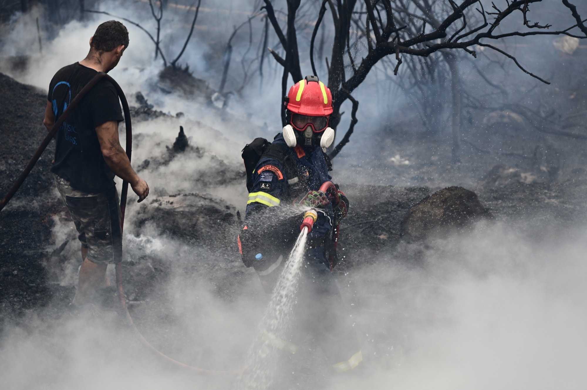 Στάχτη έγιναν 1,7 εκατ. στρέμματα σε 67 δασικές πυρκαγιές από την αρχή του έτους