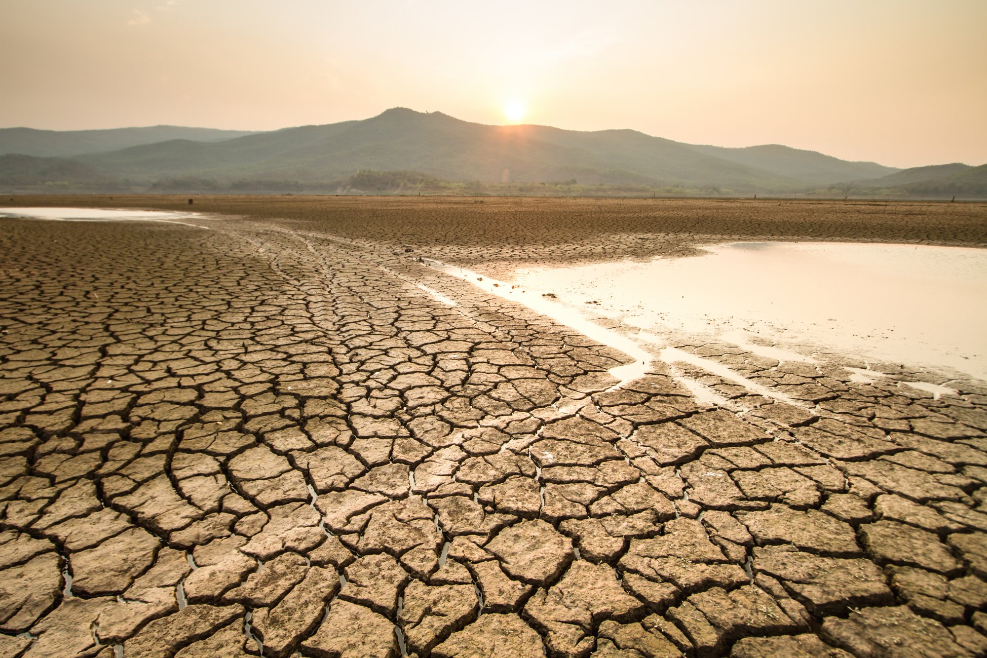 Αποτέλεσμα της κλιματικής αλλαγής οι απότομες αλλαγές από ξηρασία σε έντονες βροχοπτώσεις