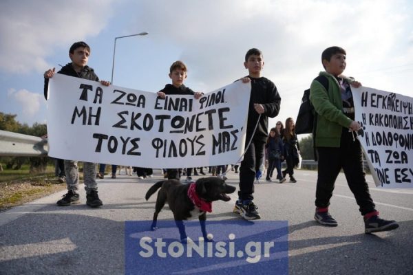 Λέσβος: Θανάτωσαν με φόλα σκυλάκι σε αυλή σχολείου – Μαθητές το είδαν να βγάζει αφρούς