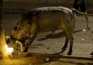 Ισπανία: Έβαλαν φωτιά στα κέρατα ταύρου και τον γύριζαν στους δρόμους