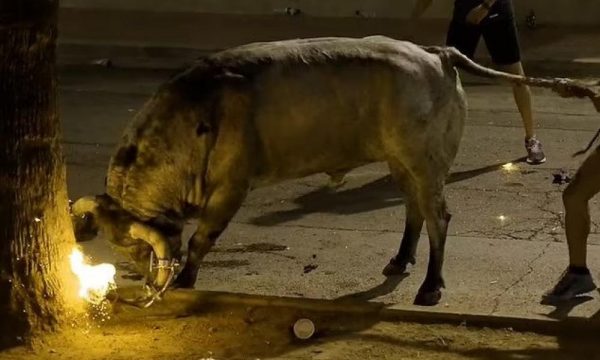 Ισπανία: Έβαλαν φωτιά στα κέρατα ταύρου και τον γύριζαν στους δρόμους