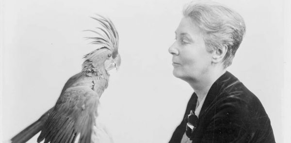 Μήπως μια λογοκριμένη γυναίκα συγγραφέας ενέπνευσε το διάσημο στυλ του Χέμινγουεϊ;