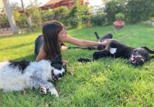 Οκτώ χαριτωμένες κινήσεις του σκύλου – Ποια η ερμηνεία τους και πότε πρέπει να απευθυνθούμε στον κτηνίατρο