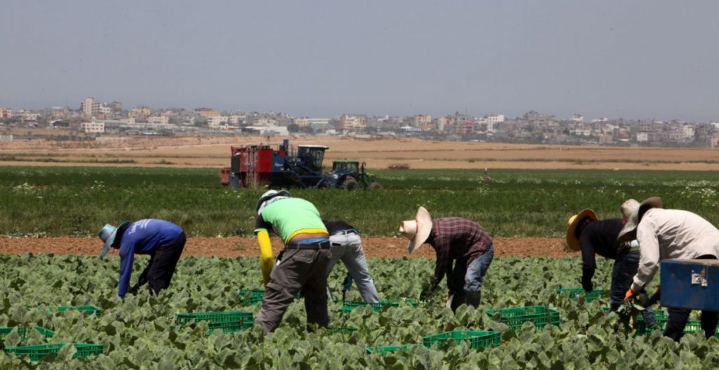 Πόλεμος Ισραήλ – Χαμάς: Δεκάδες Ταϊλανδοί εργάτες θύματα των επιθέσεων στα σύνορα