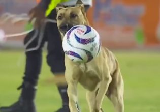 Μεξικό: Σκύλος διέκοψε ποδοσφαιρικό αγώνα και άρχισε να παίζει με την μπάλα