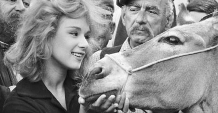 Finos Film: Χρόνια πολλά σε κάθε ζωάκι που γιορτάζει σήμερα