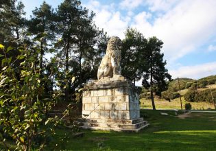 Κινητό σύστημα ανίχνευσης πυρκαγιών θα «προστατεύει» το δάσος των Σερρών