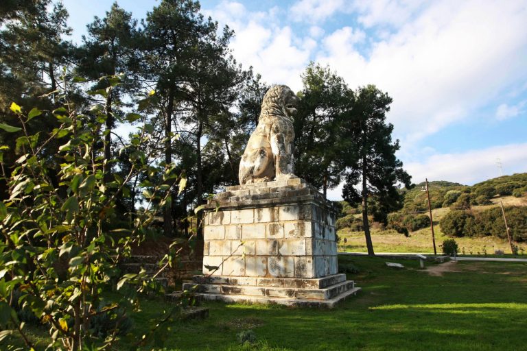 Κινητό σύστημα ανίχνευσης πυρκαγιών θα «προστατεύει» το δάσος των Σερρών