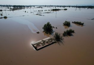 FAO: «Χάνεται» το 5% του ετήσιου αγροτικού παγκόσμιου ΑΕΠ 