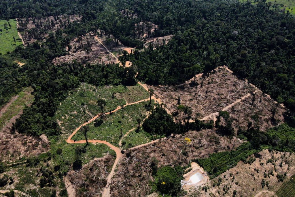 Δάση: Χάνεται το στοίχημα του 2030 κατά της αποψίλωσης