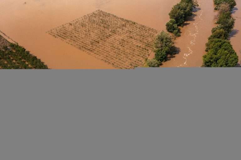 Στη Θεσσαλία ο Αυγενάκης: Συσκέψεις με παραγωγούς και κτηνοτρόφους που έχουν πληγεί από τις πλημμύρες