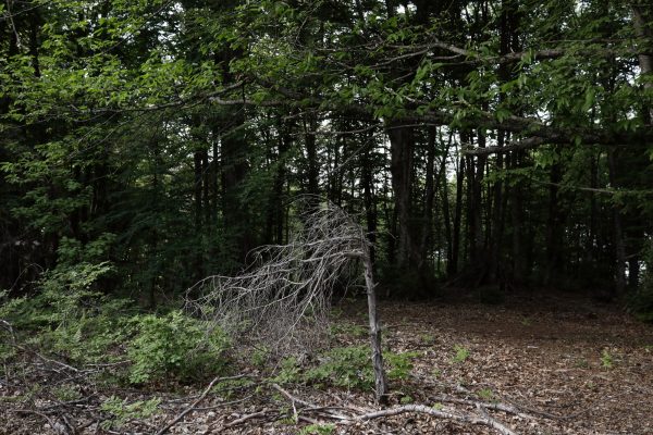Θήβα: Έκανε μότο κρος και βρήκε ανθρώπινο σκελετό