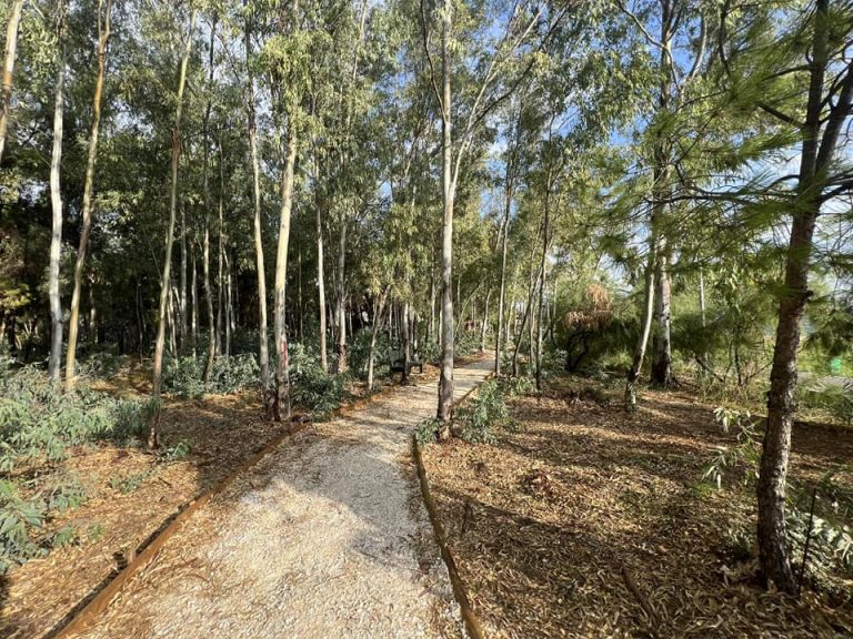 Ολοκληρώνεται το Πάρκο Δρομέων στον παραλιακό πεζόδρομο Νέας Μάκρης