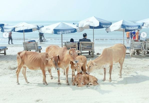 Φωτογραφία: Οι νικητές του φετινού διαγωνισμού της Leica