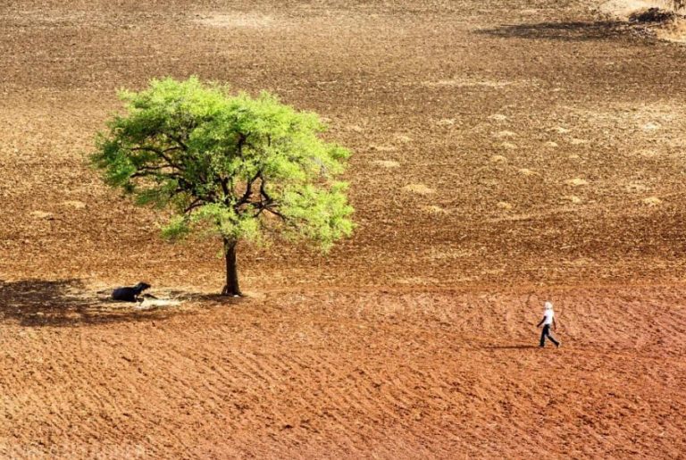 Κλιματική αλλαγή: Κι όμως έχουμε τρόπο να δροσίσουμε τον πλανήτη