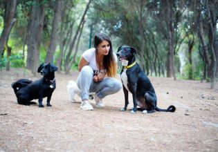 Τα σήματα ηρεμίας φανερώνουν τον ψυχικό κόσμο του σκύλου. Τα γνωρίζετε;