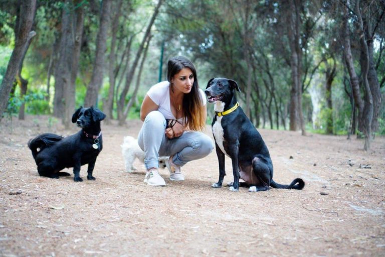 Τα σήματα ηρεμίας φανερώνουν τον ψυχικό κόσμο του σκύλου. Τα γνωρίζετε;